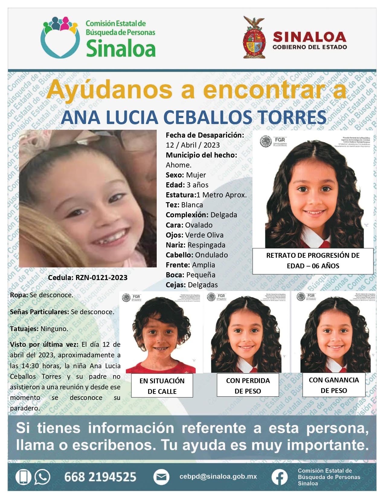 ANA LUISA CEBALLOS TORRES
