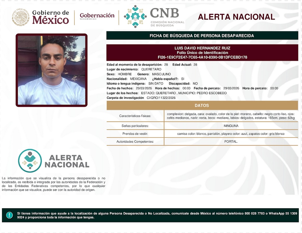 LUIS DAVID HERNÁNDEZ RUIZ